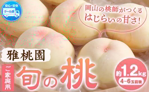 【2026年先行予約】ご家庭用 旬の桃 約1.2kg ( 4~6玉前後 ) 株式会社創・和(雅桃園) 《2026年7月上旬-8月上旬頃出荷》岡山県 浅口市 桃 もも フルーツ 果物 青果 旬 白桃 わけあり 訳あり【配送不可地域あり】