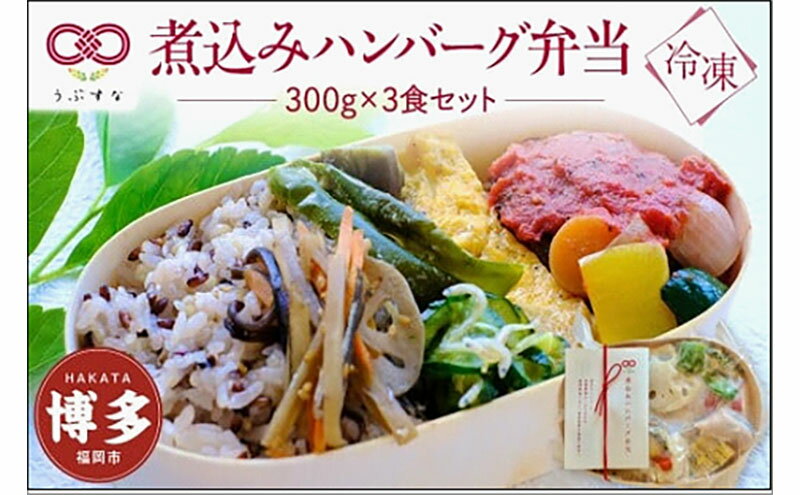 【ふるさと納税】【冷凍】煮込みハンバーグ弁当3食セット　有機・特別栽培野菜　九州　福岡　国産食材