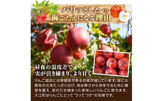 ≪先行受付≫ふじりんご 5kg パック詰め（特秀） 【2026年11月中旬～順次発送予定】