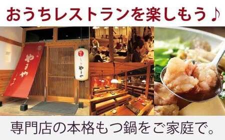 もつ鍋 やまや 定期便 6回 あごだし醤油味 5～6人前 もつ鍋