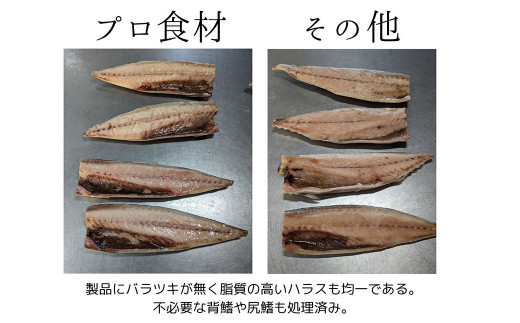 プロ食材 サバフィーレ 3kg