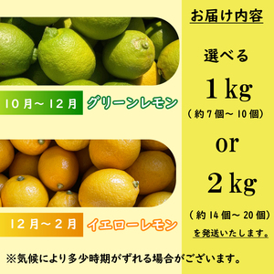 牧之原産 波乗りレモン マイヤーレモン 2kg 国産 Lemon 檸檬 