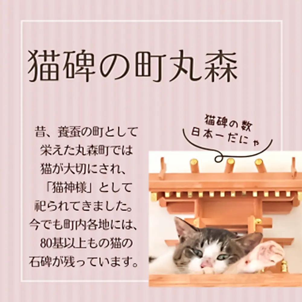猫好きさんにはたまらない♪猫神様のクッキーサンド詰合せ12個【06018】