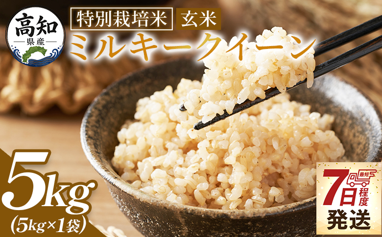 ミルキークイーン 玄米 ５ｋｇ 令和８年産 特別栽培米 国産 精米 米 お米 ご飯 ごはん おにぎり おむすび 炊き込みご飯 高知県 香南市 常温 sr-0011
