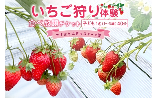 やすださん家のスイーツ園 いちご食べ放題 子ども1名（1～3歳）40分食べ放題チケット イチゴ 苺 いちご いちご狩り 食べ放題 フルーツ 果物 フルーツ狩り チケット 体験 茨城県 楽しい 季節 農園 果物狩り 味覚狩り 19-AI