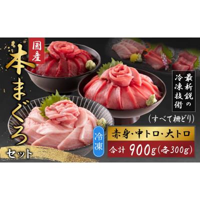 ふるさと納税 福井市 【最新鋭の冷凍技術 刺身用】本まぐろセット大トロ300g+中トロ300g+赤身300g(柵どり)