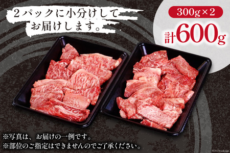 牛肉 宮崎和牛 切り落とし 焼肉 600g 牛肉 [452060795]