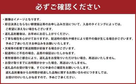黒小玉 bonbonリッチ 計2玉 各2kg以上 スイカ すいか 西瓜 小玉スイカ 小玉すいか 小玉西瓜 小玉 果物 【2026年5月下旬発送開始】