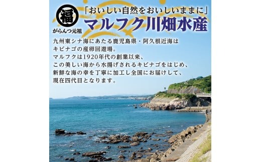 ＜定期便・全2回(隔月)＞阿久根市産 干物(6種)国産 鹿児島県産 ひもの 開き 一夜干し がらんつ 乾物 魚 キビナゴ あじ いか イカ うるめ あおさ 【マルフク川畑水産】a-24-36