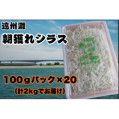 【ふるさと納税】遠州灘・福田漁港で水揚げの朝獲れシラス～鮮度そのままに釜揚げ～ 100gパック×20個【配送不可地域：離島】【2001139】