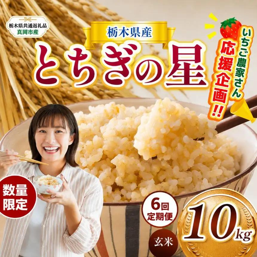 先行予約【令和8年度産】栃木県産とちぎの星 10kg | 【栃木県共通返礼品】 