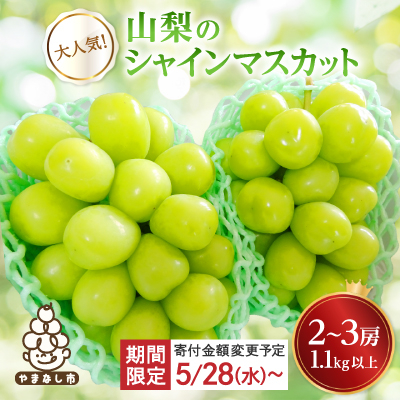 【寄付金額変更 13,000円→12,000円】シャインマスカット 2~3房 1.1kg以上 山梨産【配送不可地域：離島】