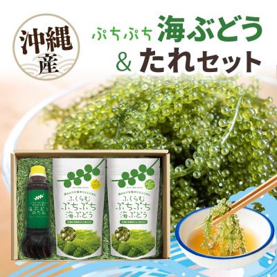 ふるさと納税 糸満市 「ふくらむぷちぷち海ぶどう」とシークワーサー入り海ぶどうのたれセット 沖縄県 糸満市