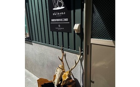 【 ジビエ 】 肉汁溢れるジビエ肉ハンバーグ 180g×4個 ハンバーグ ジビエハンバーグ ジビエ肉 冷凍 鹿肉 鹿 お肉 ニク 肉 にく 惣菜