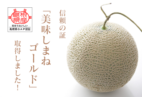 メロンパークのメロン【2024年10月発送・2Lサイズ1玉】