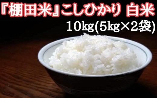 
コシヒカリ白米5kg×2袋
