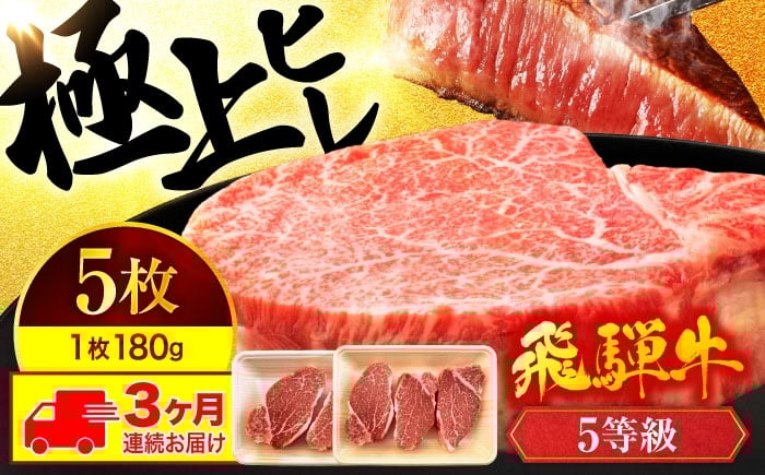 
            飛騨牛 ヒレ 【3回定期便】ステーキ A5ランク 180g×5枚【有限会社マルゴー】ヒレ肉 和牛 国産 霜降り [MBE012]
          