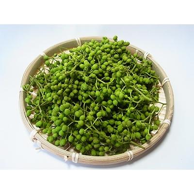ふるさと納税 紀美野町 冷凍生実山椒500g(250g×2袋)