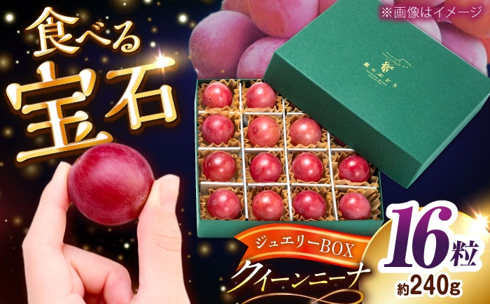 
                  【先行予約：2026年8月中旬より発送】【数量限定】贈り物におすすめ！クイーンニーナ・ジュエリーBOX 16粒(約240g)  ぶどう ブドウ クイーンニーナ くいーんにーな 葡萄 果物 グレープ くだもの フルーツ 大粒 人気ぶどう 季節限定 高級フルーツ 農家直送 鮮度抜群 贈答 ギフト 贈り物 特秀品 希少品種 甘い おすすめ 島根県雲南市/ギアファーム [AIAB018]
                