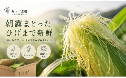 発送当日の朝に収穫。過度な水洗いをせず、採れたての鮮度と瑞々しさを閉じ込めました。