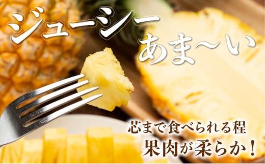 【手でちぎって食べる楽しさ】熟鮮スナックパイン2kg（2～3玉）2026年 先行予約　沖縄　西表島