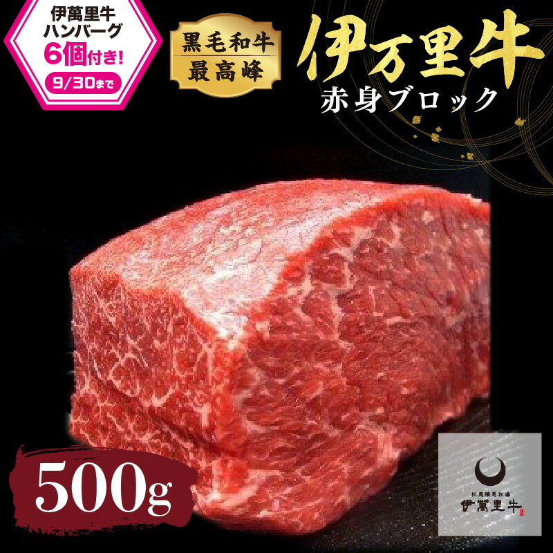 【ふるさと納税】伊万里牛 赤身ブロック 500g ステーキローストビーフ BBQにおすすめ 007-J716【 佐賀牛 赤身 モモ肉 ブロック肉 ステーキ 国産 黒毛和牛 お肉 焼肉 BBQ ふるさと納税 牛肉 】