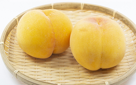 【先行予約 令和6年度発送】山形県産 黄桃 約2kg FSY-0685