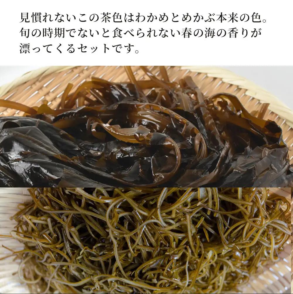 fn-39-014 三陸産生わかめ・めかぶセット【2月上旬から3月中旬頃お届け便】 ヤマキイチ商店