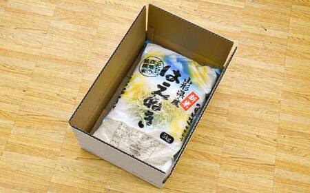 はえぬき 5kg 山形県産 精米 【令和7年産】 F2Y-4603