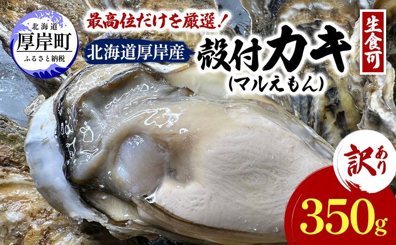訳あり 北海道 厚岸産  殻付き 牡蠣 350g 【光輝】 [ 魚貝類 