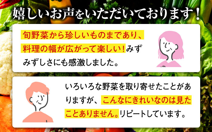 【全6回定期便】【シェフの目線】栽培期間中農薬不使用！大満足 旬のお野菜セット　愛媛県大洲市/有限会社ヒロファミリーフーズ [AGBX004]野菜 サラダ カレー 農業 トマト 料理  きゅうり 鍋 