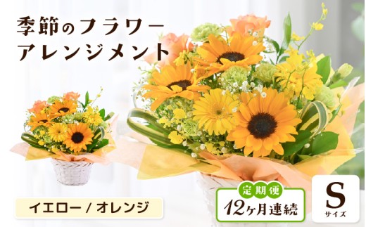定期便 ≪12ヶ月連続お届け≫ 選べるカラー 季節のフラワーアレンジメント S (イエロー・オレンジ) 【お花 フラワー アレジメント 花束 ギフト 生花 プレゼント 花束 花 記念日 敬老の日 お祝い】 [J-20703_02]