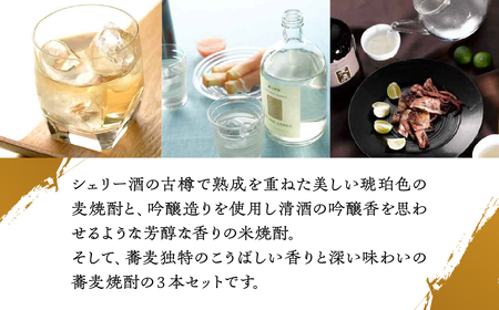 【遅れてごめんね 父の日（6月23日～28日お届け）】 【天領酒造】「天真  焼酎飲みくらべ」セット【2-7fo】