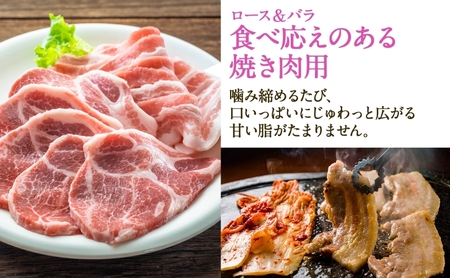 豚肉セット 4種の豚肉 ウインナー ロース バラ 岐阜県産 豚肉セット【2.6kg(ロース・バラ各500g ウインナー300g×2袋)】【定期便 全6回】