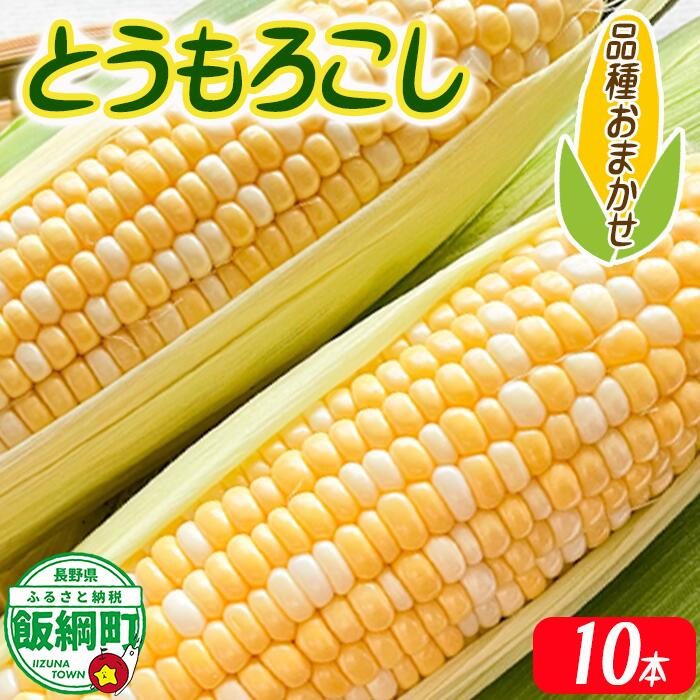 【ふるさと納税】 とうもろこし 10本 厳選品種 （品種おまかせ） 配送先は本州限定 ふるさと振興公社 長野県 飯綱町 〔 信州 トウモロコシ コーン 14000円 〕発送期間：2025年8月下旬〜2025年9月上旬