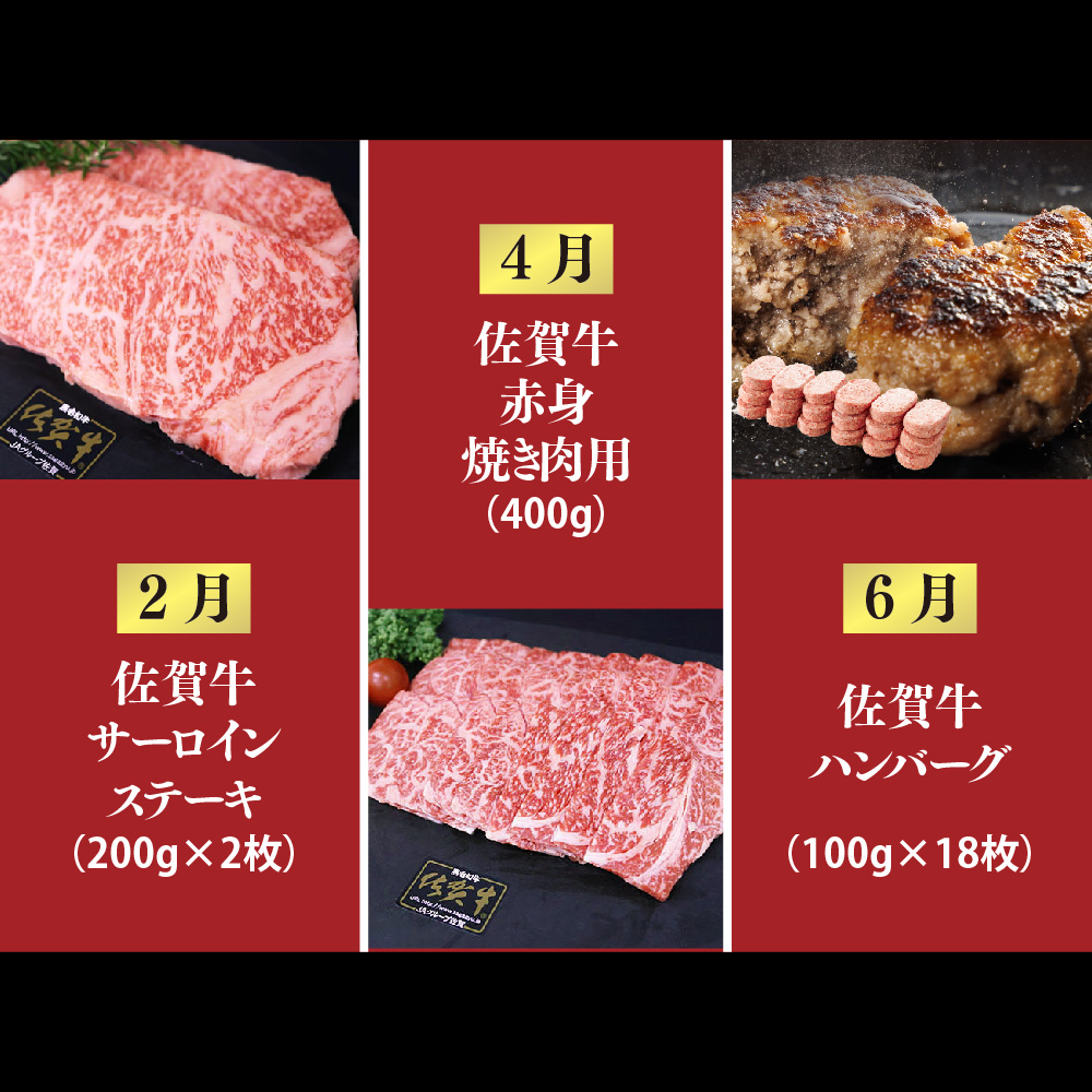 【偶数月発送 全6回定期便】ALL佐賀牛定期便【サーロインステーキ 赤身焼き肉 ハンバーグ カルビ焼肉 100%ハンバーグ ロースステーキ バラエティ豊か】(H118112)