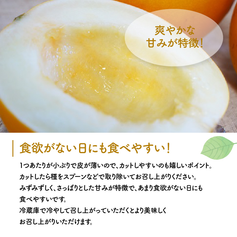 【2026年発送】完熟！イエローキングメロン 4kg以上（4玉入り） フルーツ 果物 甘い　H141-018