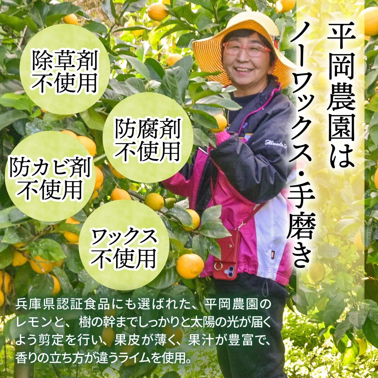 黄金レモンソルベ ・ 黄金ライムソルベ 計4個セット シャーベット （淡路島・平岡農園）  / シャーベット 