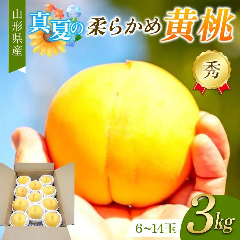 真夏の黄桃 3kg 秀品 柔らかめの品種 FSY-2753