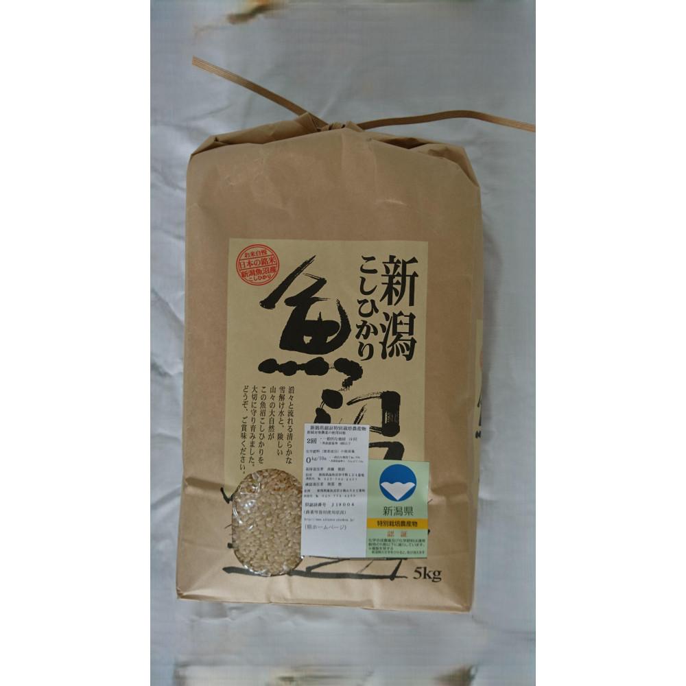 【ふるさと納税】【令和7年】新潟県認証特別栽培米魚沼産しおざわコシヒカリ玄米5kg | お米 こめ 食品 人気 おすすめ 送料無料