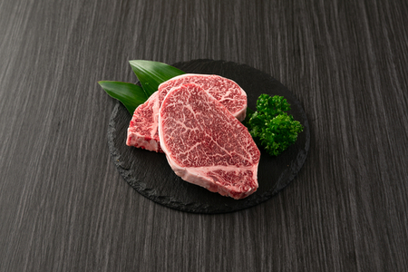 飛騨牛 ヒレ 170g ×8枚｜ﾋﾚ ﾋﾚ ﾋﾚ ﾋﾚ ﾋﾚ ﾋﾚ ※離島への配送不可