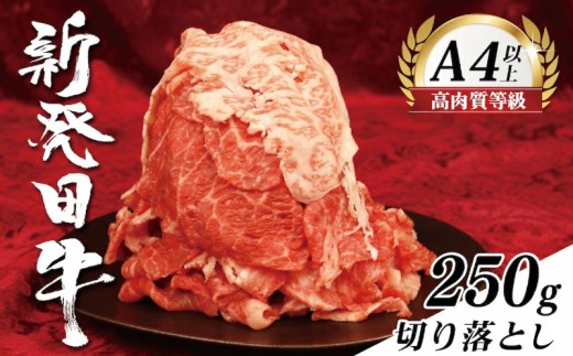 牛肉 切り落とし 250g 肉 和牛 霜降り ブランド牛 新発田牛 にいがた和牛 しゃぶしゃぶ 小分け 小間切れ 新潟県 新発田市 新潟 新発田 近江牛 神戸牛 松阪牛 米沢牛 三大和牛 に負けない えのもとミート enomoto020