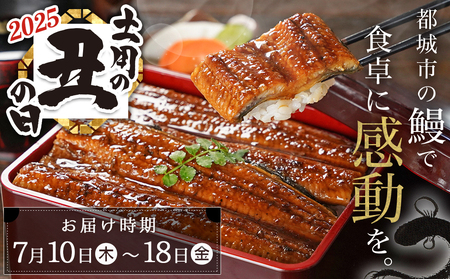 【丑の日】職人手焼きうなぎ蒲焼き2尾＆豚ロースステーキ6枚≪7月10日～18日お届け≫_AC-3305-UG_(都城市) 豚肉 鰻 国産 うなぎの蒲焼 2尾 タレ付き 麹味噌漬け豚ロース肉 6枚 丑の