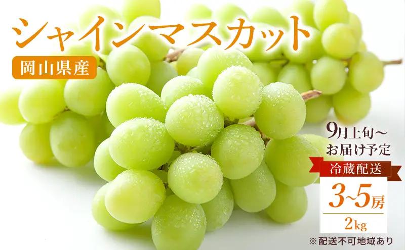 ぶどう 2026年 先行予約 ご家庭用 シャイン マスカット 約2kg 糖度抜群【9月上旬～順次発送分】 岡山県産 シャイマスカット