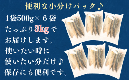 【 訳あり 】 アジフィーレ 3kg アジ