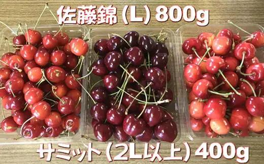 8-015-016　ワカバヤシ果樹園のジューシー★オイシーさくらんぼ 1.2kg