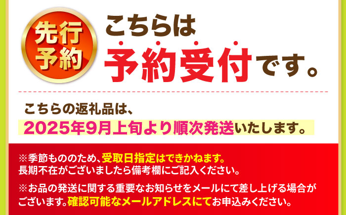 【9月発送】 シャインマスカット 約1.5kg（2房）＜濱崎農園＞ [CGN005]