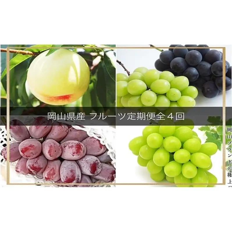 フルーツ定期便 桃 ぶどう 岡山県産 フルーツ定期便【4回コース】【先行予約】【定期便】