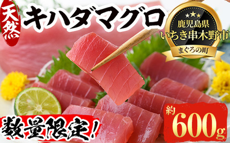 【数量限定】串木野水揚げ天然まぐろ！キハダマグロ(約600g・柵で3本) 赤身！ 鮪丼や鉄火巻などにオススメ♪【A-1650H】