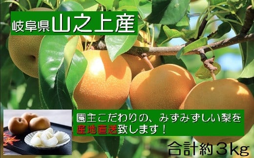 
            【レビューキャンペーン対象商品】【先行受付】【 数量限定 】精華園 の こだわり 梨 （約 3kg ）品種 は おまかせ | なし ナシ 果物 フルーツ 旬の果物 旬 新鮮 【2025年8月下旬～10月下旬迄発送予定】
          